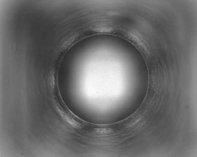 X0000071830541200606301321