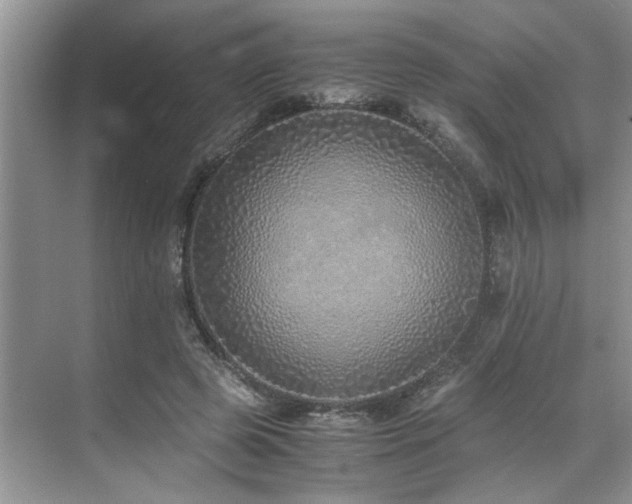 X0000071830545200606301321