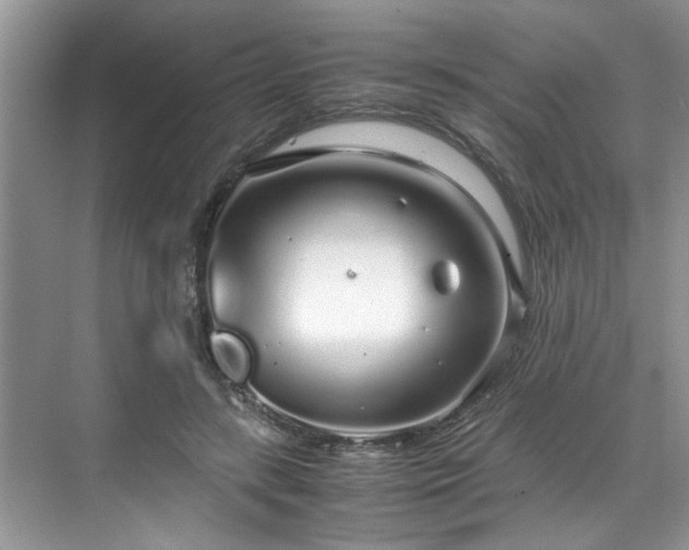 X0000071830547200606301321