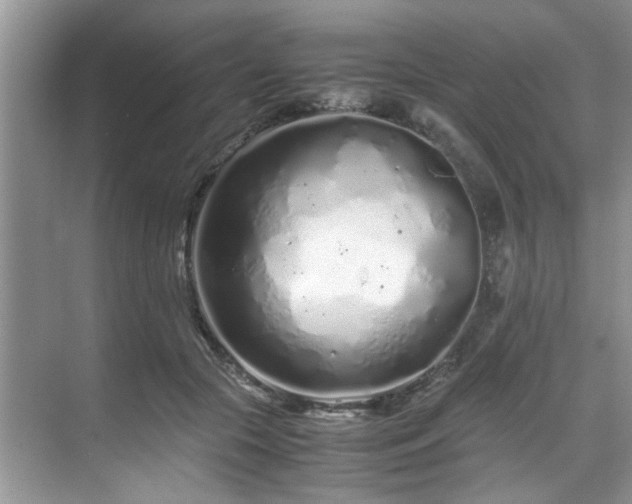 X0000071830553200606301321