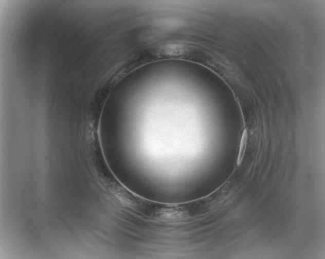 X0000071830555200606301321