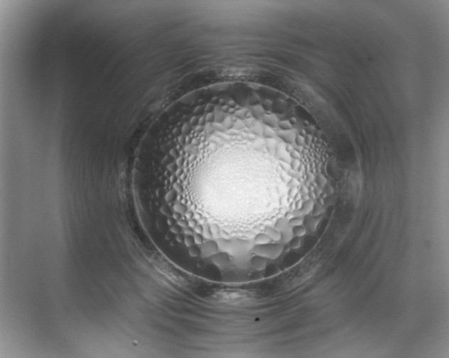 X0000071830557200606301321