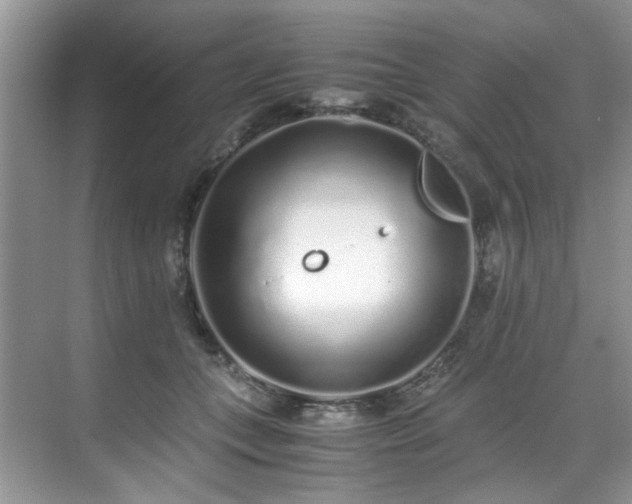 X0000071830559200606301321