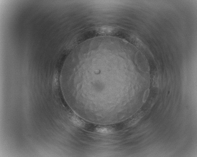 X0000071830561200606301322