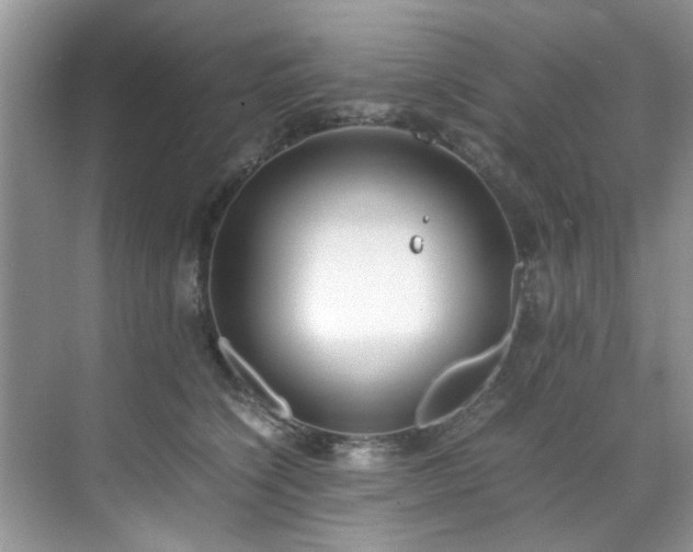 X0000071830564200606301322