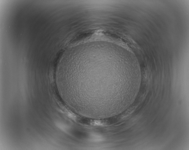 X0000071830565200606301322