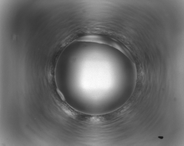 X0000071830566200606301322