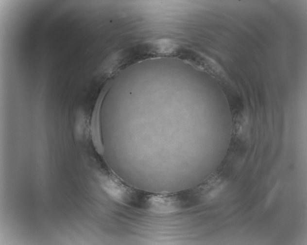 X0000071830568200606301322