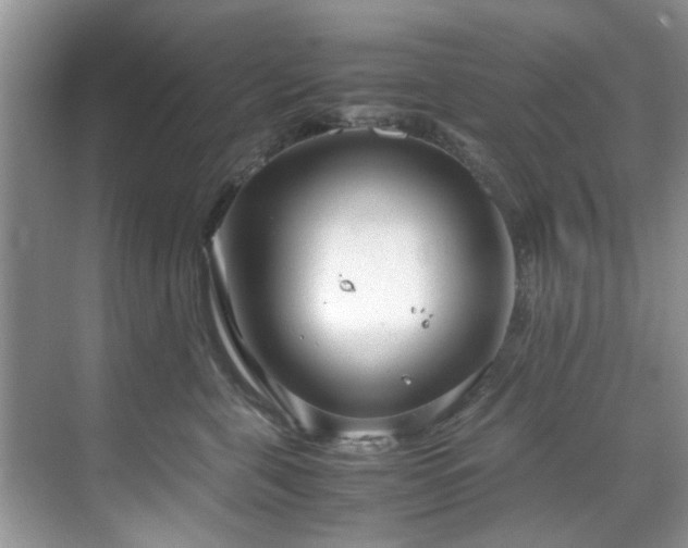 X0000071830571200606301322