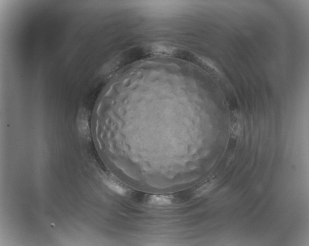 X0000071830573200606301322