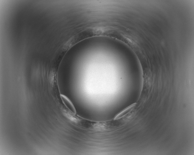 X0000071830574200606301322