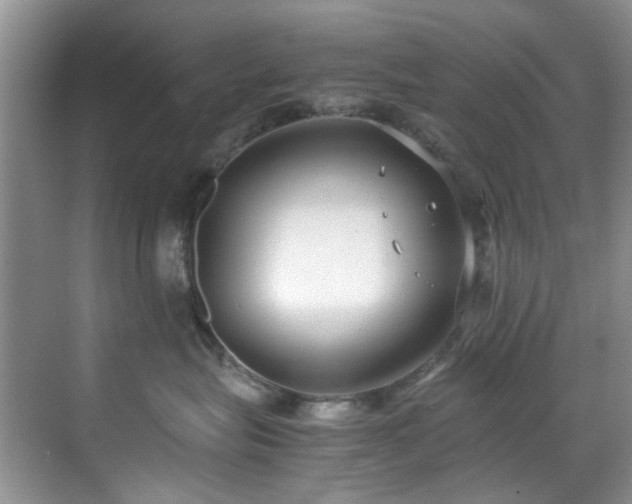 X0000071830575200606301322