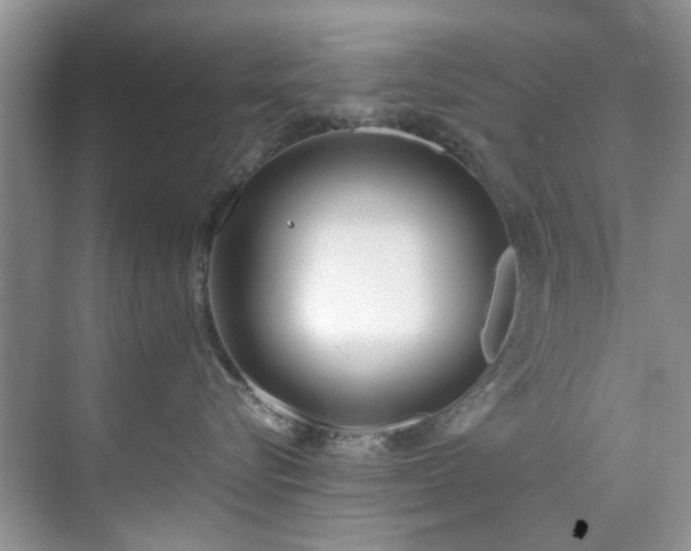 X0000071830576200606301322