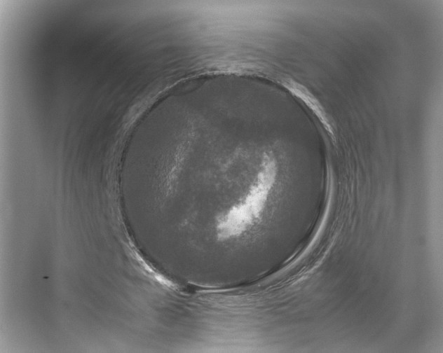 X0000071830577200606301321