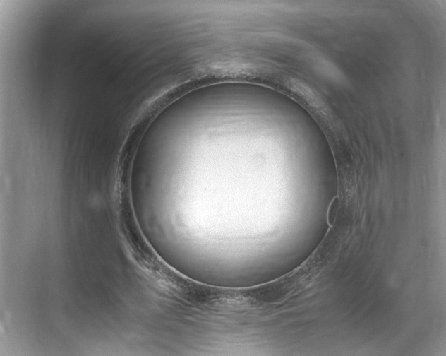 X0000071830583200606301321