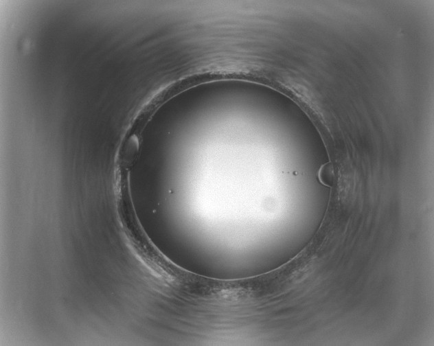 X0000071830584200606301321