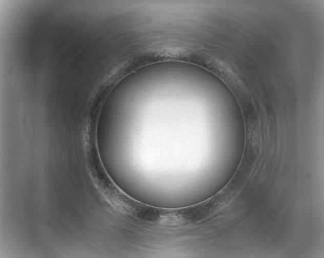 X0000071830591200606301321