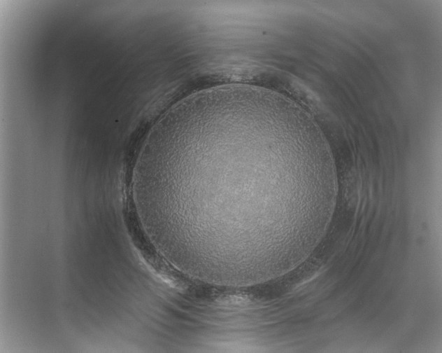 X0000071830594200606301321