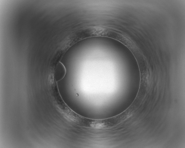 X0000071830602200606301321