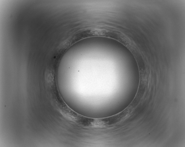 X0000071830603200606301321