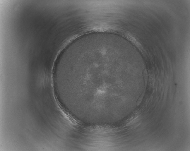 X0000071830626200606301319