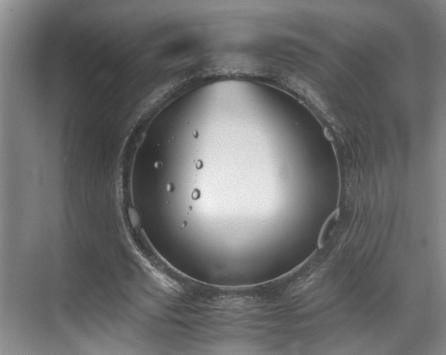 X0000071830629200606301319