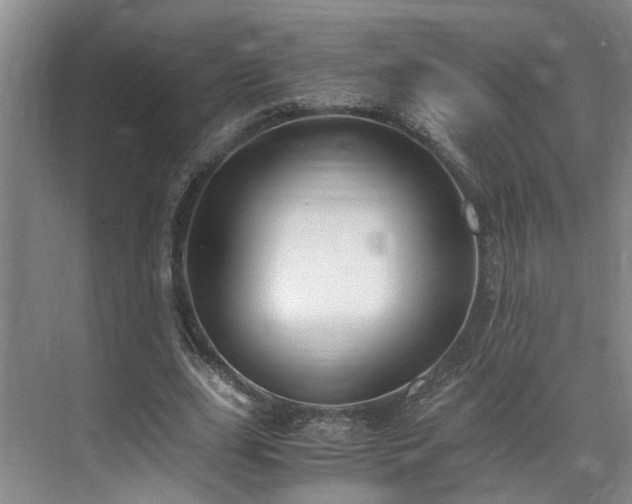 X0000071830631200606301319