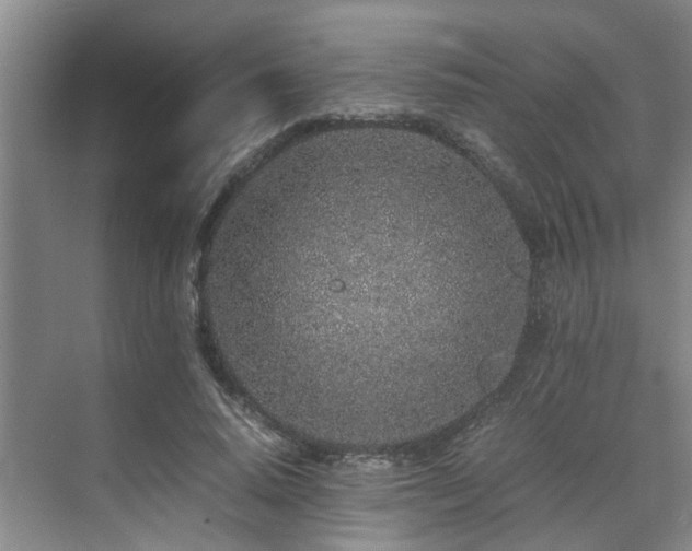 X0000071830640200606301320