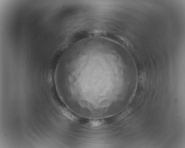 X0000071830662200606301320