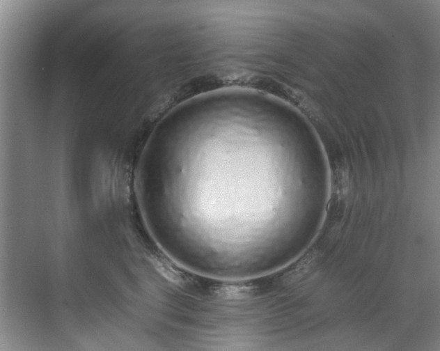 X0000071830664200606301320