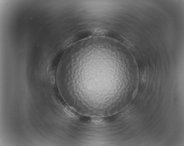 X0000071830666200606301320