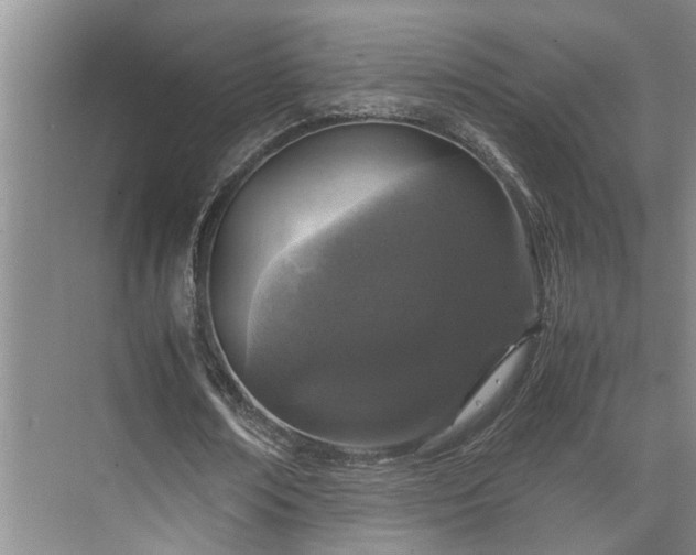 X0000071830674200606301319