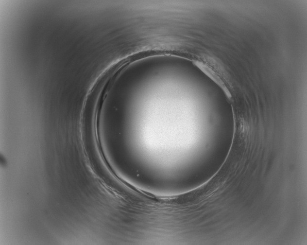 X0000071830676200606301319