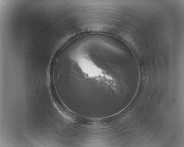 X0000071830678200606301319