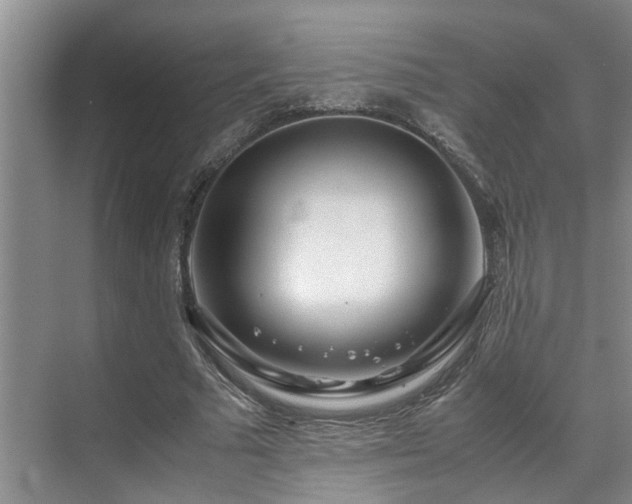 X0000071830681200606301319