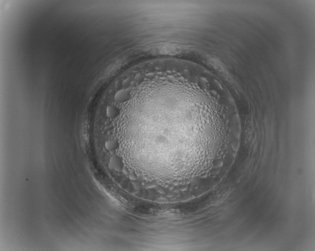 X0000071830683200606301319