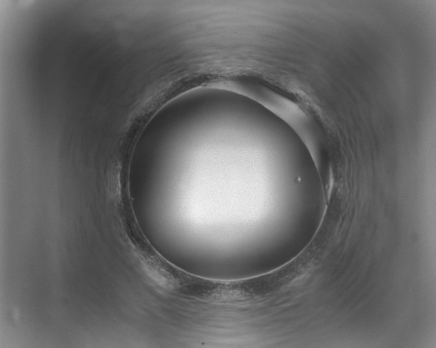 X0000071830685200606301319