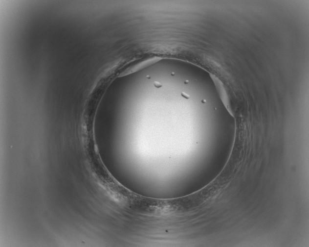 X0000071830688200606301319