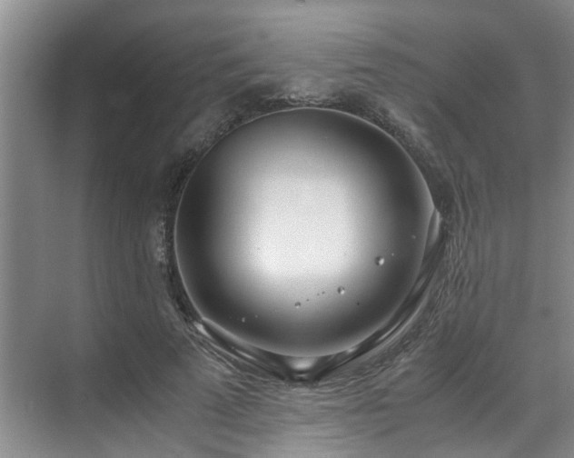 X0000071830689200606301319