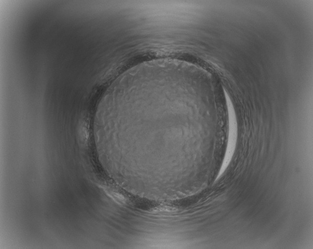 X0000071830691200606301319