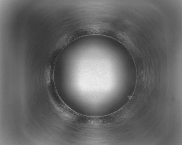 X0000071830694200606301319