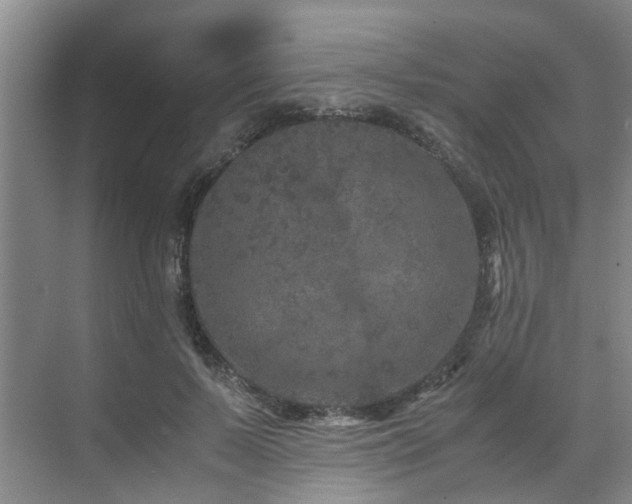 X0000071830695200606301319