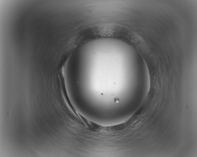 X0000071830697200606301319