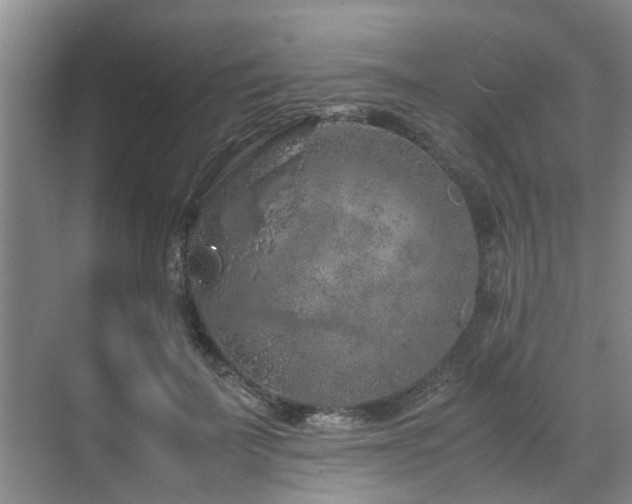 X0000071830699200606301319