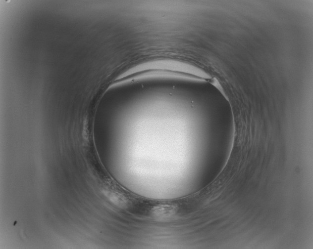 X0000071830700200606301319