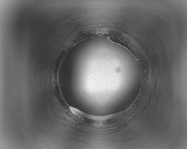 X0000071830704200606301319