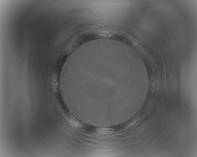 X0000071830707200606301319