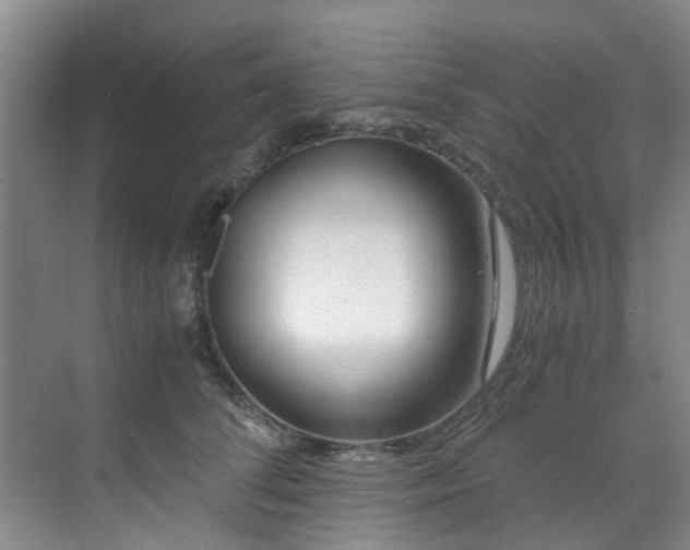 X0000071830708200606301319