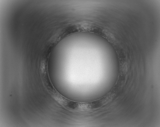 X0000071830709200606301319