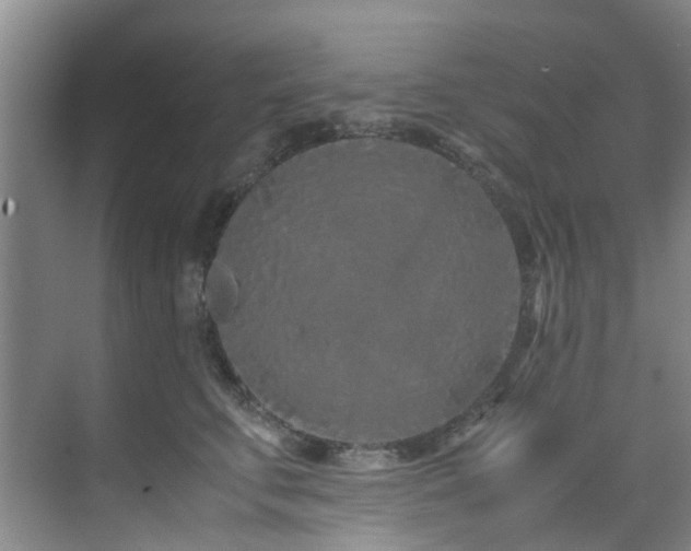 X0000071830711200606301319